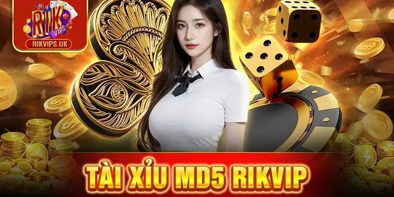 Giới thiệu đôi nét về tài xỉu MD5 tại Rikvip